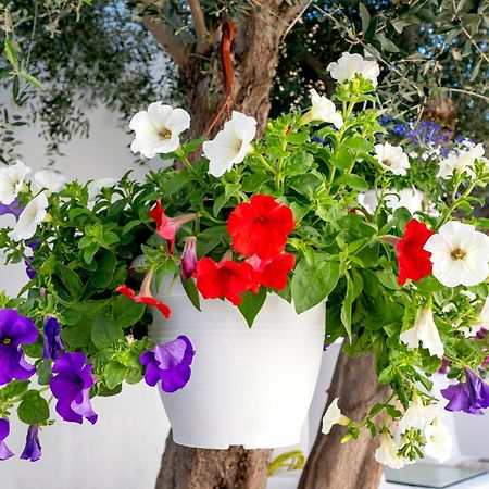 Villa Del Capo Suites Rhodes City Εξωτερικό φωτογραφία