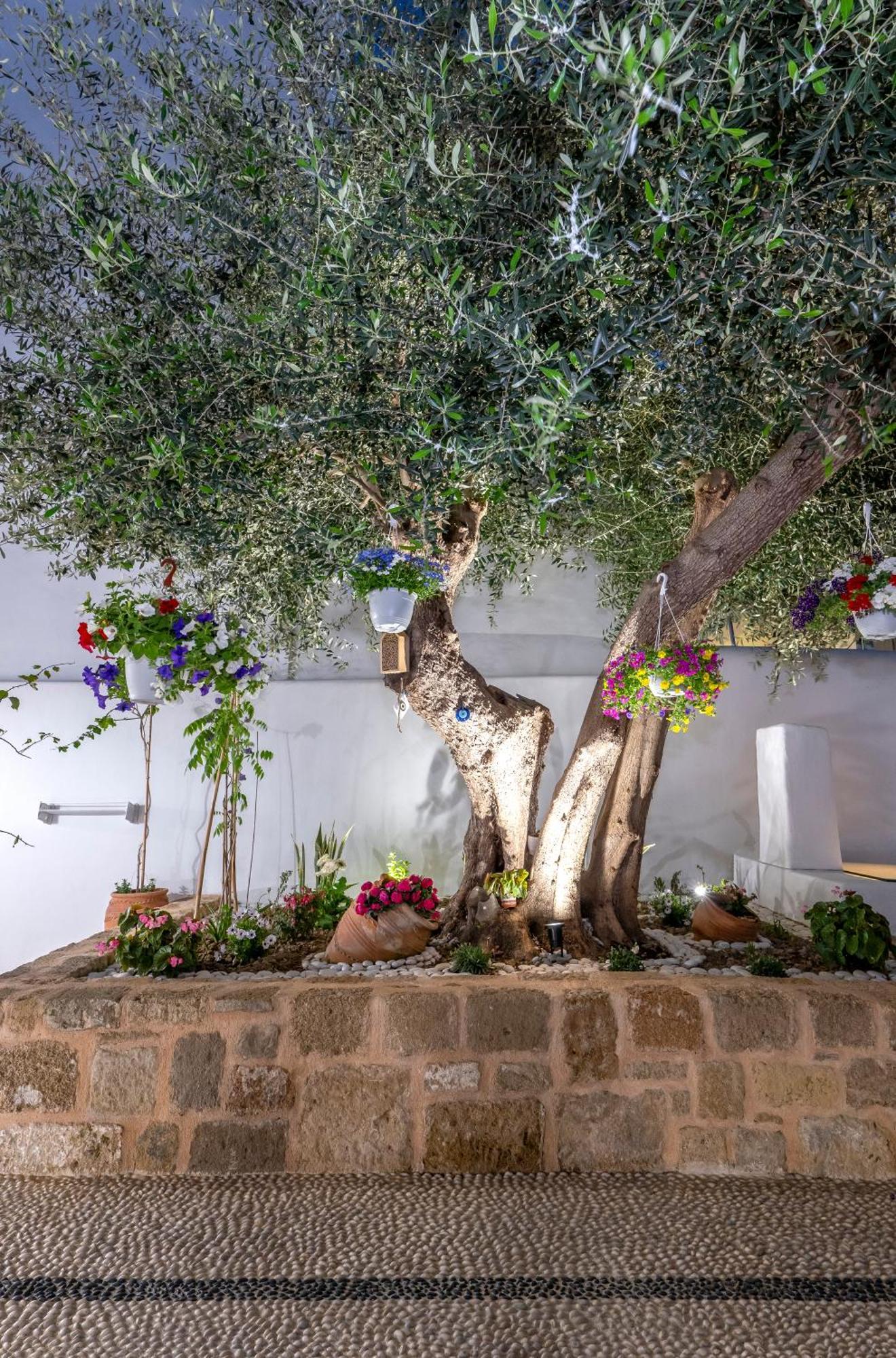 Villa Del Capo Suites Rhodes City Εξωτερικό φωτογραφία
