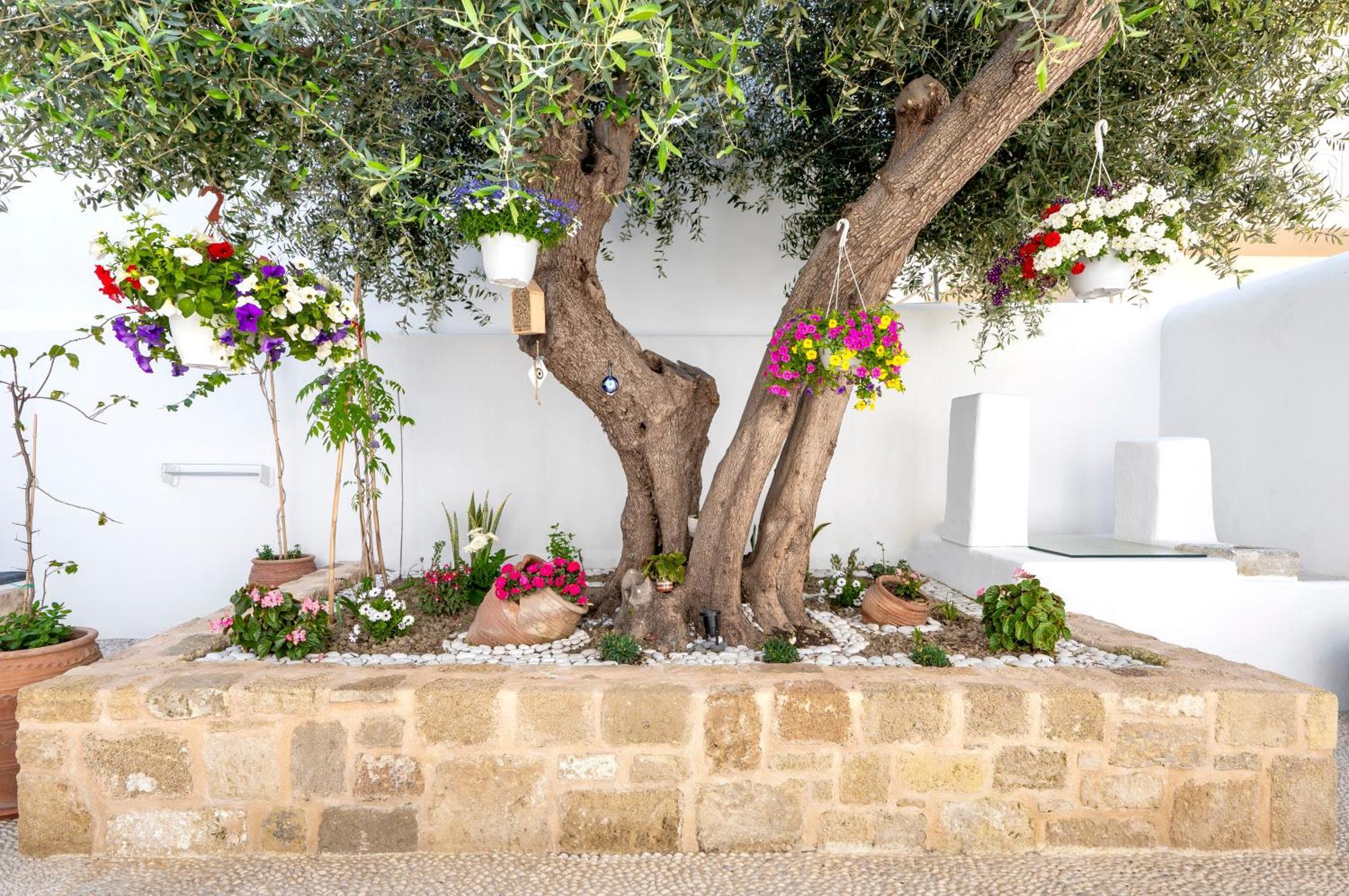 Villa Del Capo Suites Rhodes City Εξωτερικό φωτογραφία